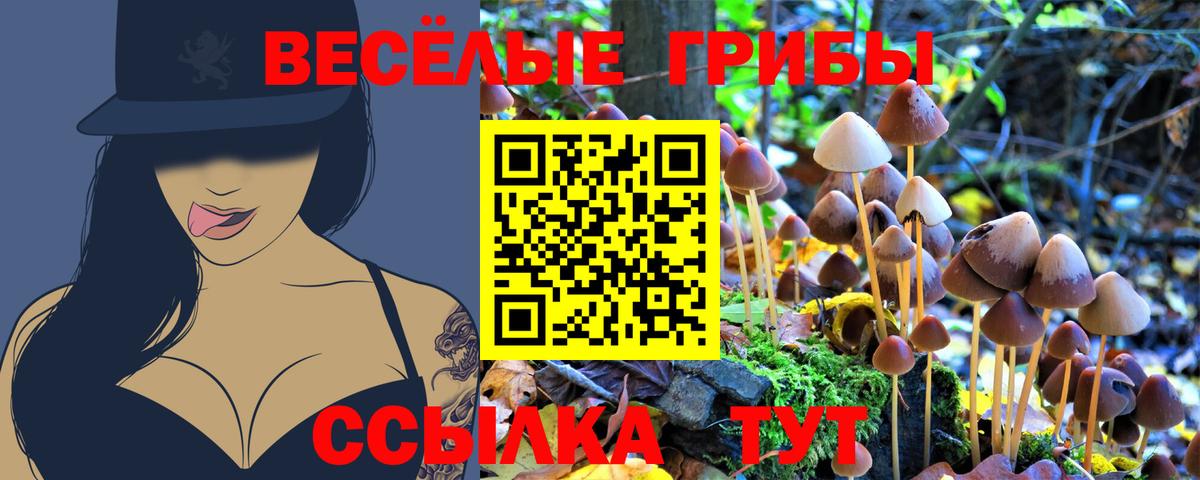 Усинск  цена наркотик  Вход с VPN  Галлюциногенные грибы GOLDEN TEACHER 