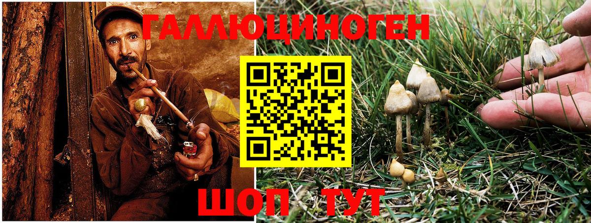 Галлюциногенные грибы Cubensis Усинск